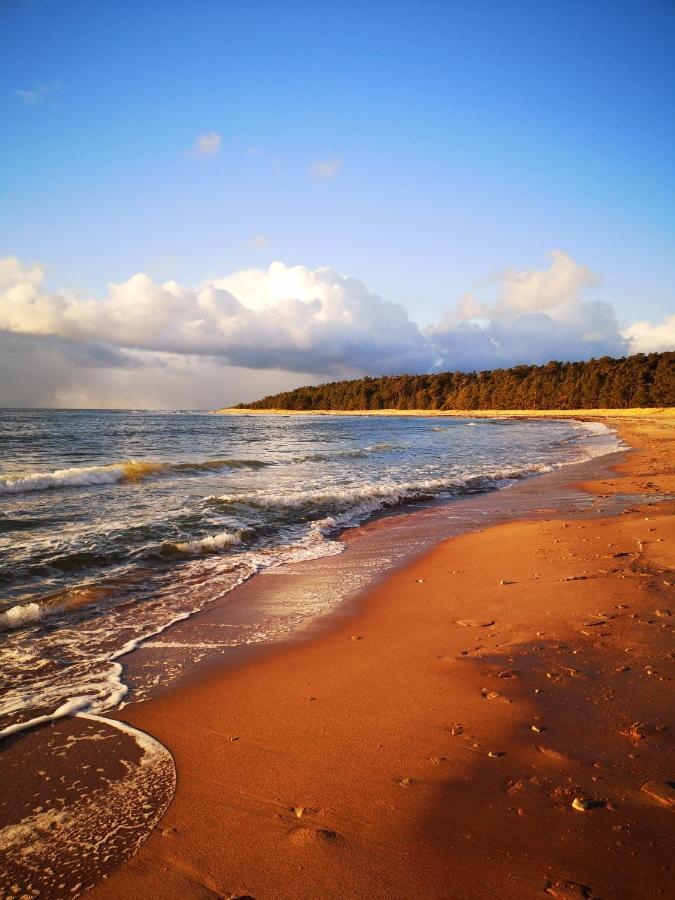 Вілла Metsaraeaegu Wellness Ulendi Екстер'єр фото
