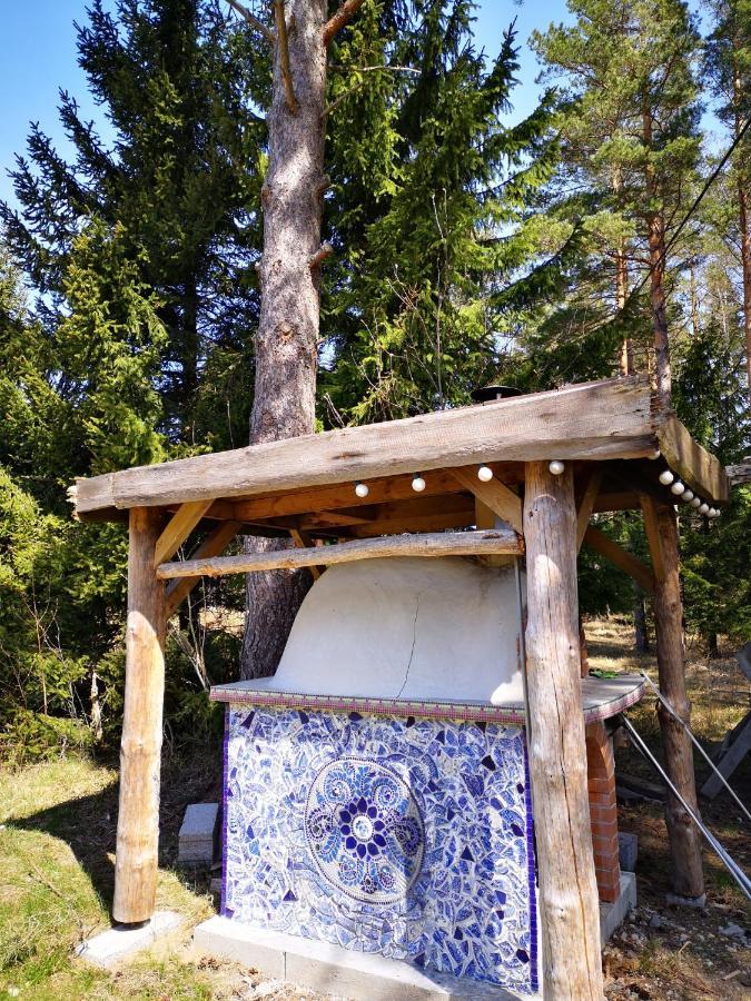 Вілла Metsaraeaegu Wellness Ulendi Екстер'єр фото