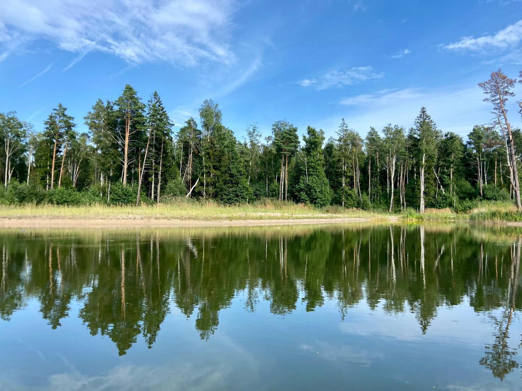 Вілла Metsaraeaegu Wellness Ulendi Екстер'єр фото
